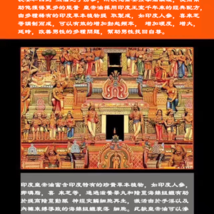 印度皇帝油 男性按摩油 Kamsutram Oil 溫和不刺激 激發快感超長延時 老品牌值得信賴  台灣官網正品：圖片 3